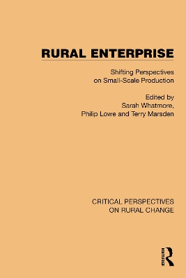 Rural Enterprise: Shifting Perspectives on Small Scale Production book