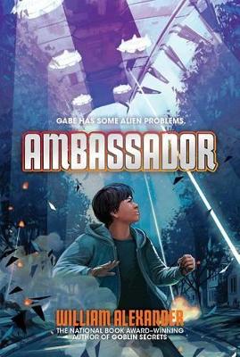 Ambassador book