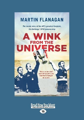 A A Wink From the Universe by Martin Flanagan