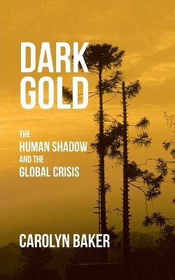 Dark Gold: The Human Shadow and the Global Crisis by Dr Carolyn Baker