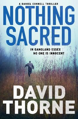 Nothing Sacred by David Thorne