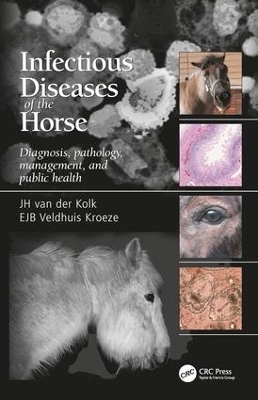 Infectious Diseases of the Horse book