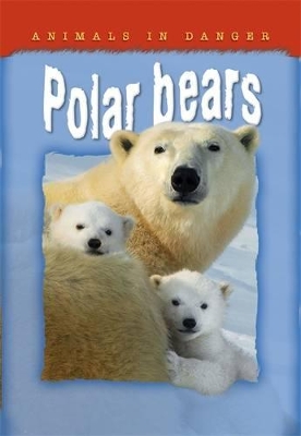 Animals in Danger: Polar Bears book