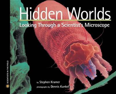 Hidden Worlds by Stephen Kramer