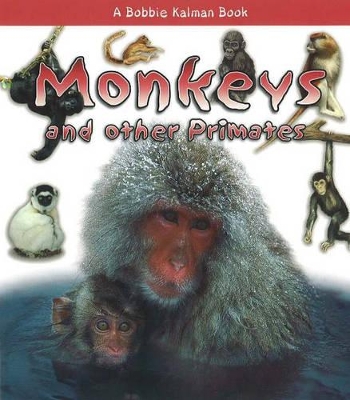 Monkeys and Other Primates by Rebecca Sjonger