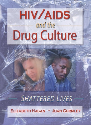 HIV/AIDS and the Drug Culture by Joan Gormley