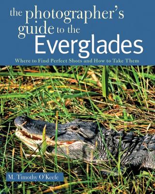 Photographer's Guide to the Everglades book