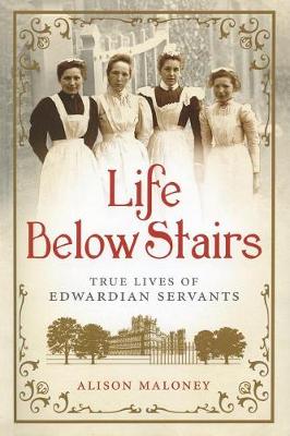 Life Below Stairs book