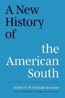 A New History of the American South book