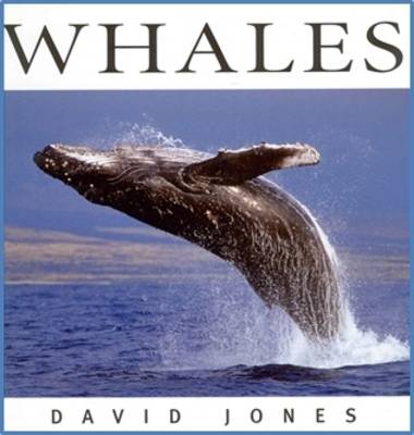 Whales book