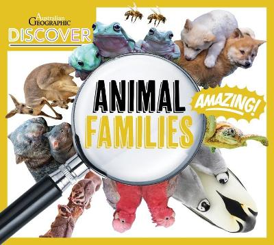 Australian Geographic Discover: Animal Families book