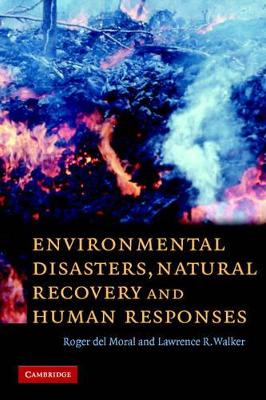 Environmental Disasters, Natural Recovery and Human Responses book