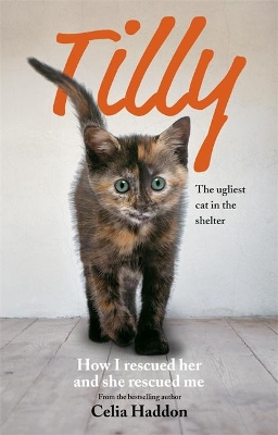 Tilly: The Ugliest Cat book