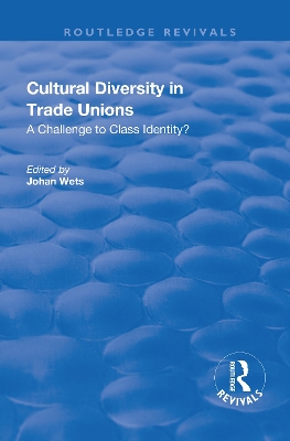 Cultural Diversity in Trade Unions: A Challenge to Class Identity? book