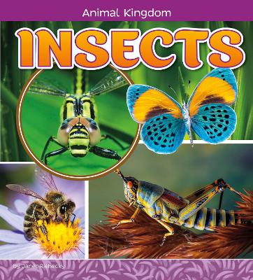 Insects by Janet Riehecky