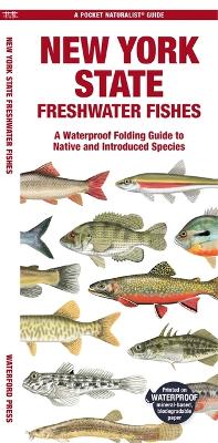 New York State Freshwater Fishes: A Waterproof Folding Guide to Native and Introduced Species book