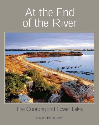 At the End of the River book