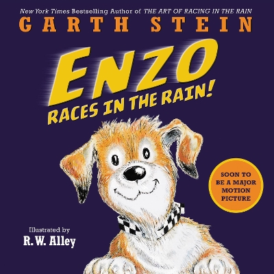 Enzo Races In The Rain! by Garth Stein