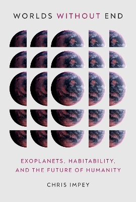 Worlds without End: Exoplanets, Habitability, and the Future of Humanity book
