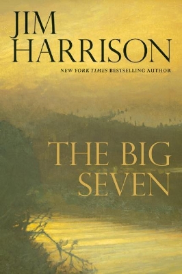 Big Seven book