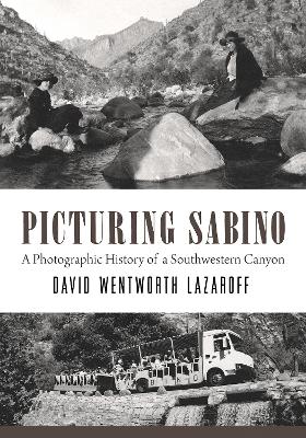 Picturing Sabino: A Photographic History of a Southwestern Canyon book