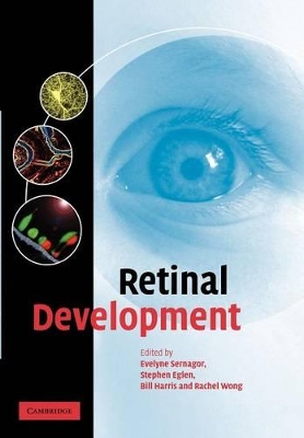 Retinal Development book
