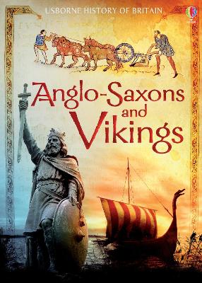 Anglo-Saxons and Vikings book