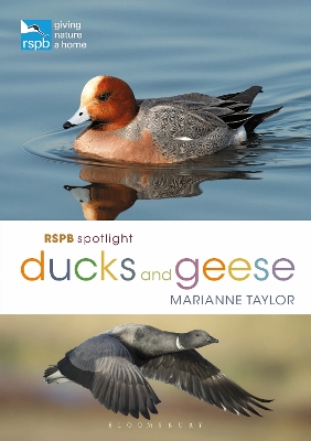 RSPB Spotlight Ducks and Geese book