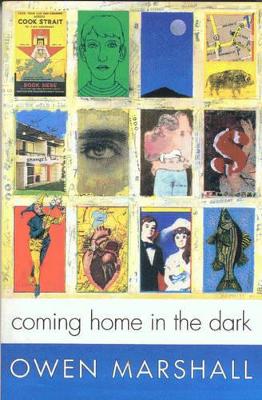 Coming Home in the Dark book