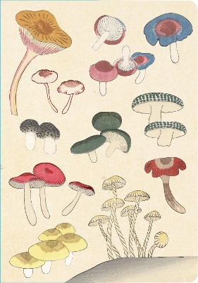 Healing Mushrooms Lined Paperback Journal: Blank Notebook with Pocket book