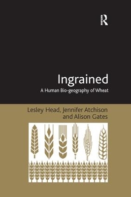 Ingrained by Lesley Head