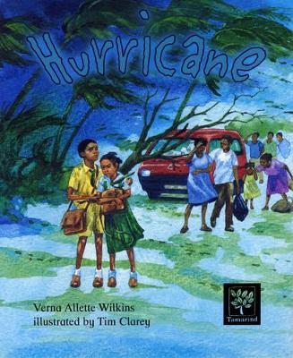 Hurricane book
