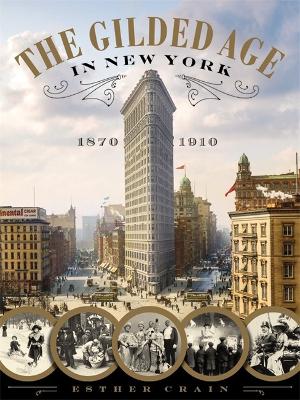 Gilded Age In New York, 1870 - 1910 book