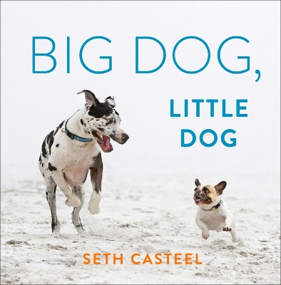 Big Dog, Little Dog book