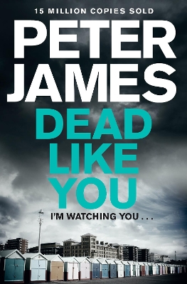 Dead Like You book