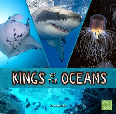 Kings of the Oceans by Jody S Rake