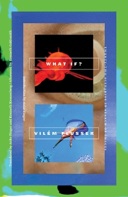 What If?: Twenty-Two Scenarios in Search of Images book