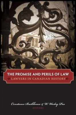 Promise and Perils of Law book
