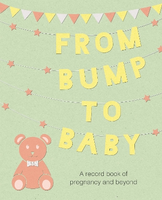 From Bump to Baby book