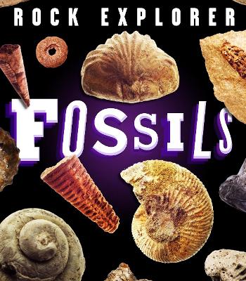 Rock Explorer: Fossils book