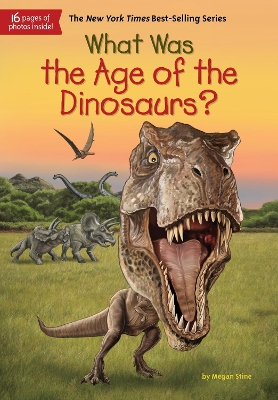What Was the Age of the Dinosaurs? by Megan Stine