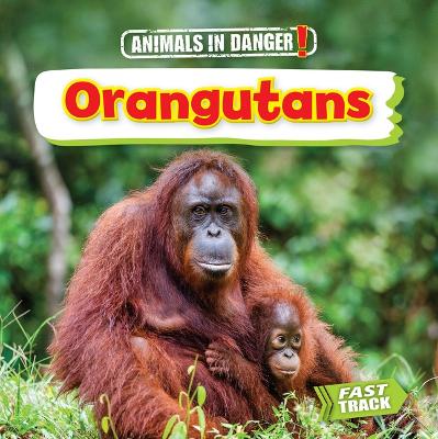 Orangutans book