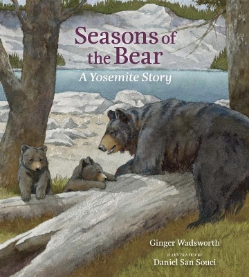 Seasons of the Bear book