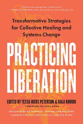 Practicing Liberation: Transformative Strategies for Collective Healing & Systems Change: Reflections on burnout, trauma & building communities of care in social justice work book