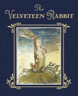 Velveteen Rabbit book