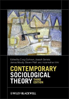 Contemporary Sociological Theory book