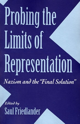 Probing the Limits of Representation book