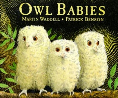 Owl Babies book