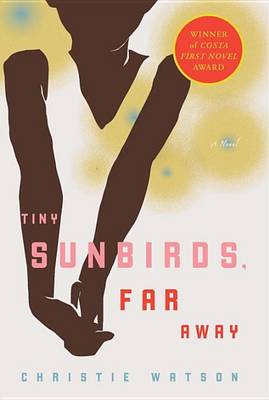 Tiny Sunbirds, Far Away book