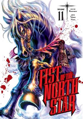 Fist of the North Star, Vol. 11: Volume 11 book